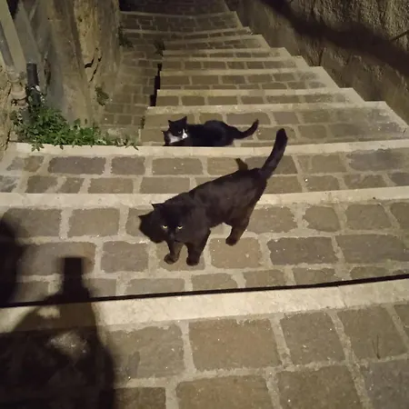 Ju Pretore *